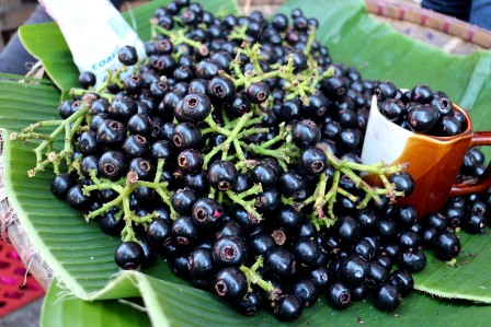 Lipote fruits